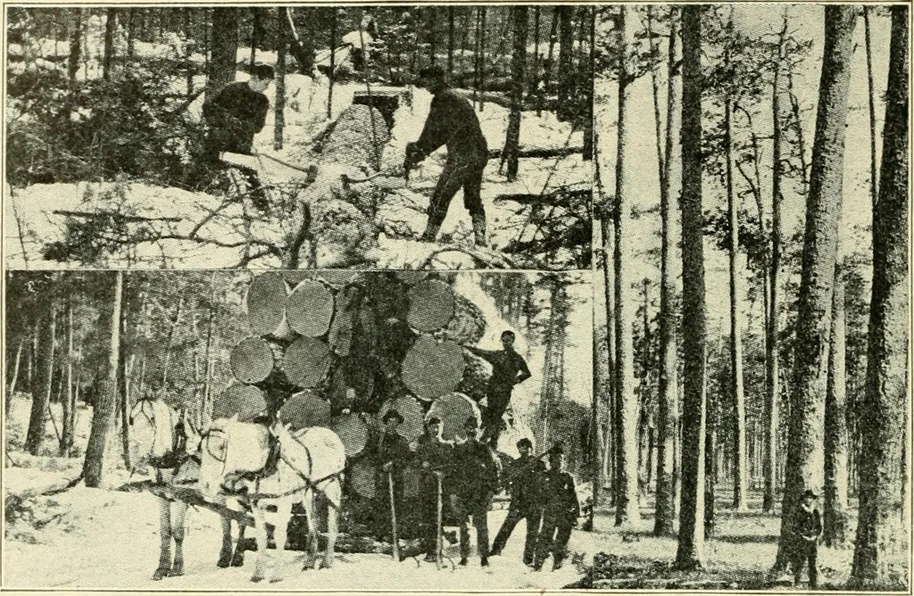 An illustration from Woodwork and mechanical drawing, 1914, leaf 65