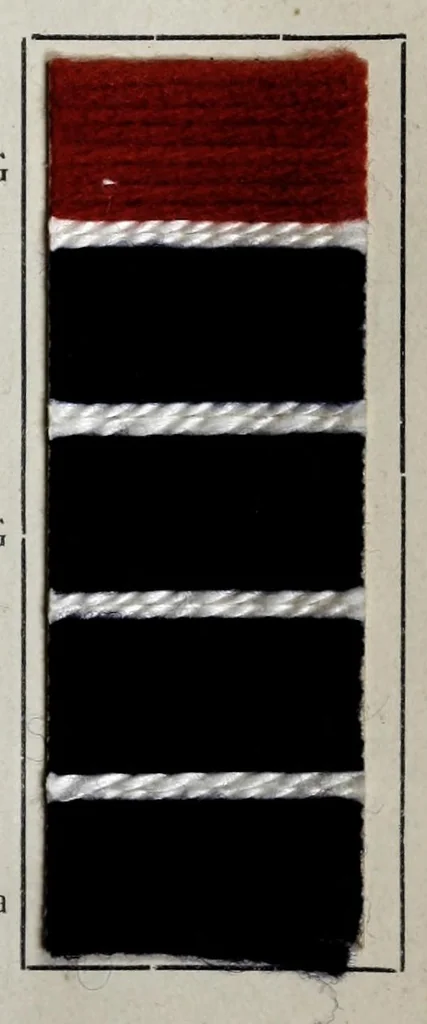 An illustration from Wool colours of the Farbenfabriken vorm. Friedr. Bayer & Co., Elberfeld, 1907, leaf 57