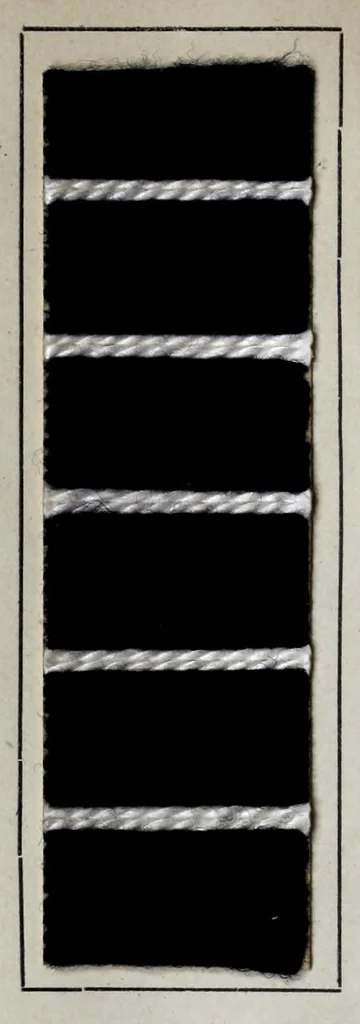 An illustration from Wool colours of the Farbenfabriken vorm. Friedr. Bayer & Co., Elberfeld, 1907, leaf 58