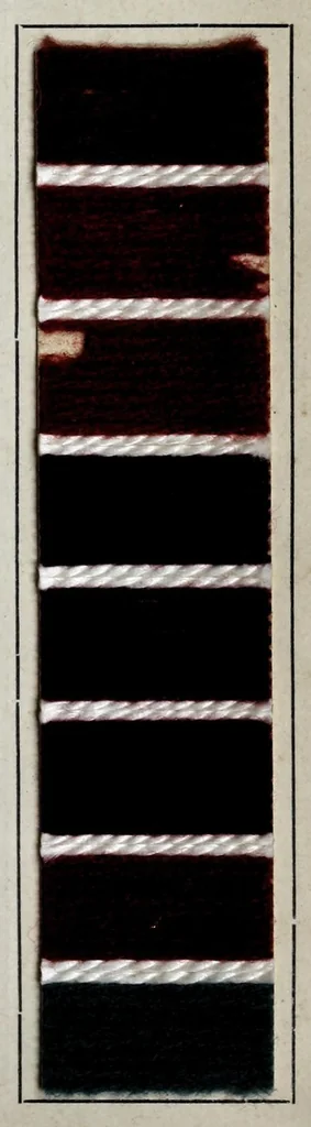 An illustration from Wool colours of the Farbenfabriken vorm. Friedr. Bayer & Co., Elberfeld, 1907, leaf 61