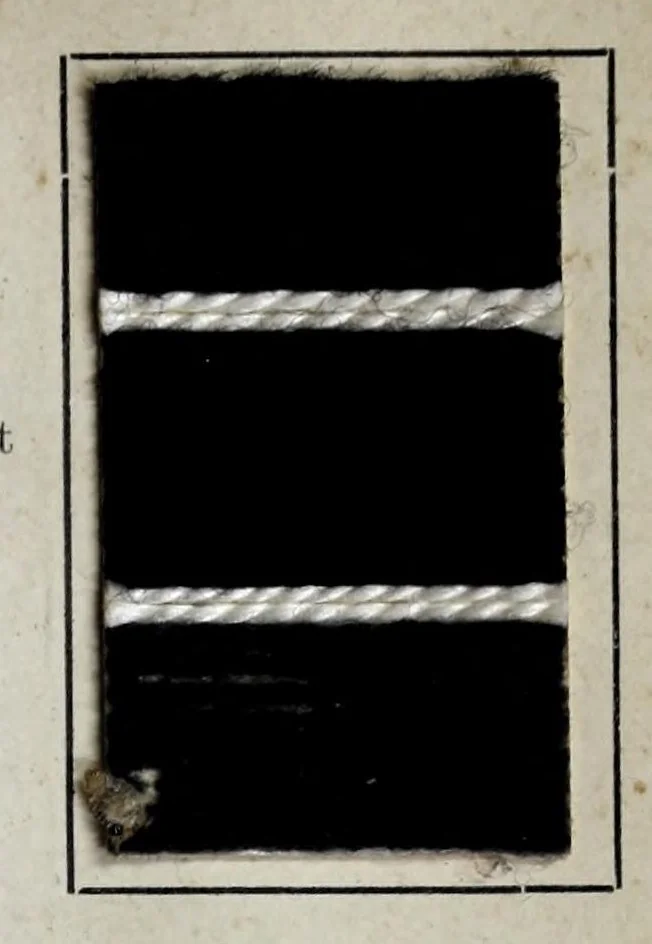 An illustration from Wool colours of the Farbenfabriken vorm. Friedr. Bayer & Co., Elberfeld, 1907, leaf 61