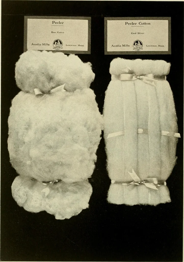 An illustration from Wool and cotton in all forms from yarn to fabric, 1921, leaf 109