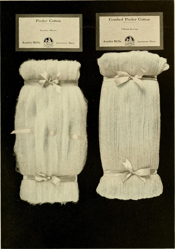 An illustration from Wool and cotton in all forms from yarn to fabric, 1921, leaf 110