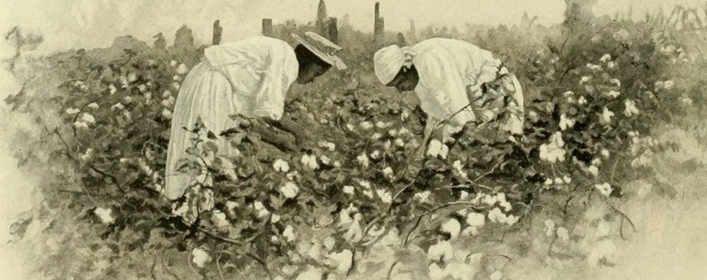 An illustration from Wool and cotton in all forms from yarn to fabric, 1921, leaf 119