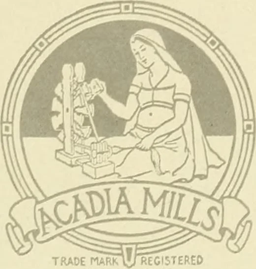 An illustration from Wool and cotton in all forms from yarn to fabric, 1921, leaf 96