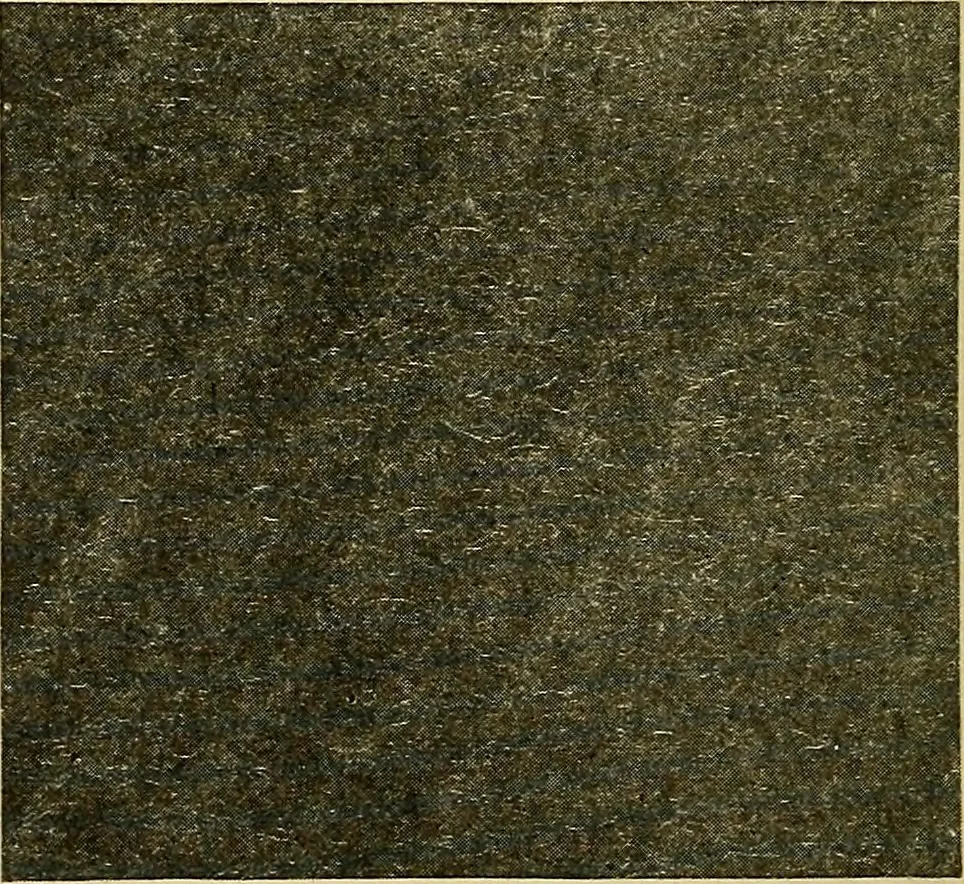 An illustration from Woolen and worsted fabrics glossary; containing instructions for the manufacture of every known grade and variety of woolen and worsted fabrics .., 1914, leaf 117