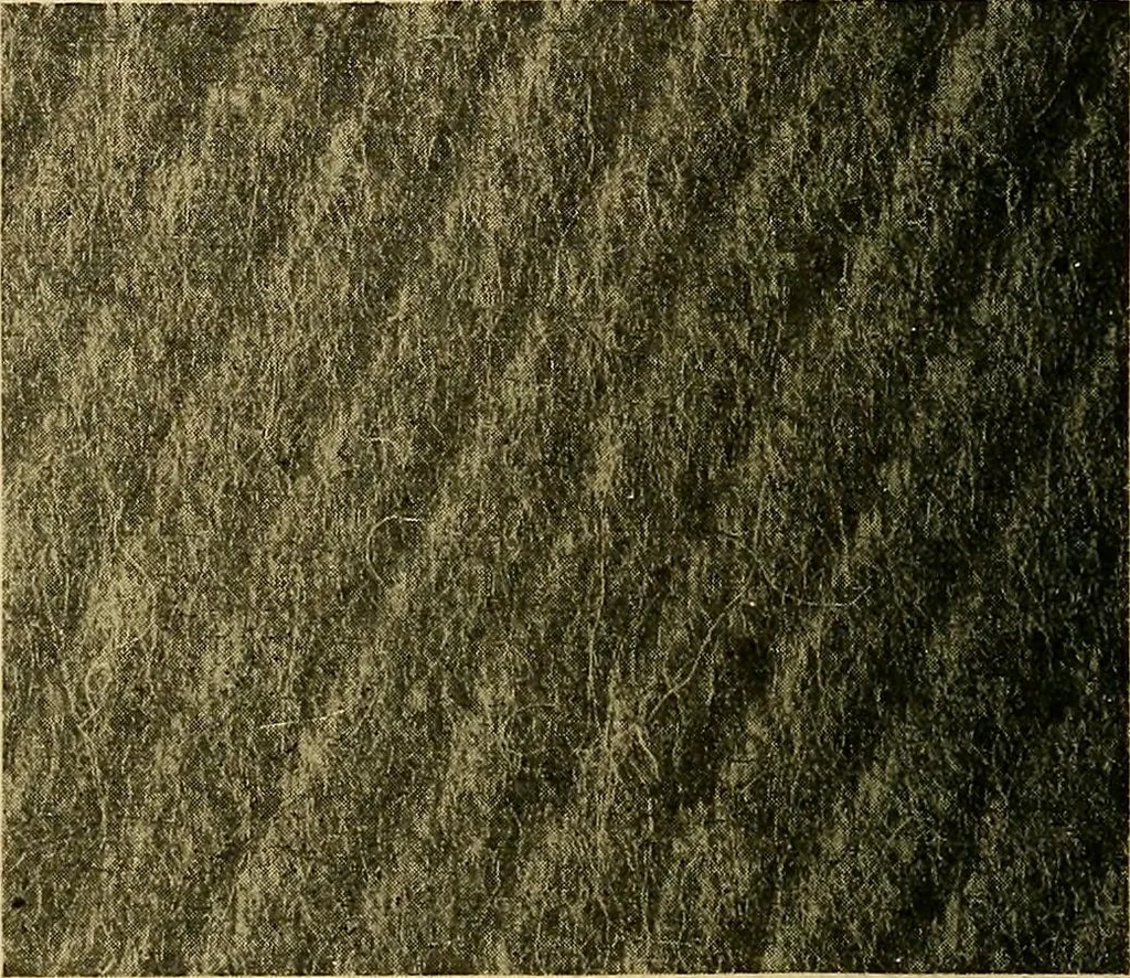 An illustration from Woolen and worsted fabrics glossary; containing instructions for the manufacture of every known grade and variety of woolen and worsted fabrics .., 1914, leaf 119