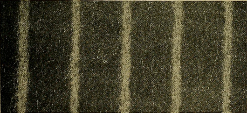 An illustration from Woolen and worsted fabrics glossary; containing instructions for the manufacture of every known grade and variety of woolen and worsted fabrics .., 1914, leaf 128
