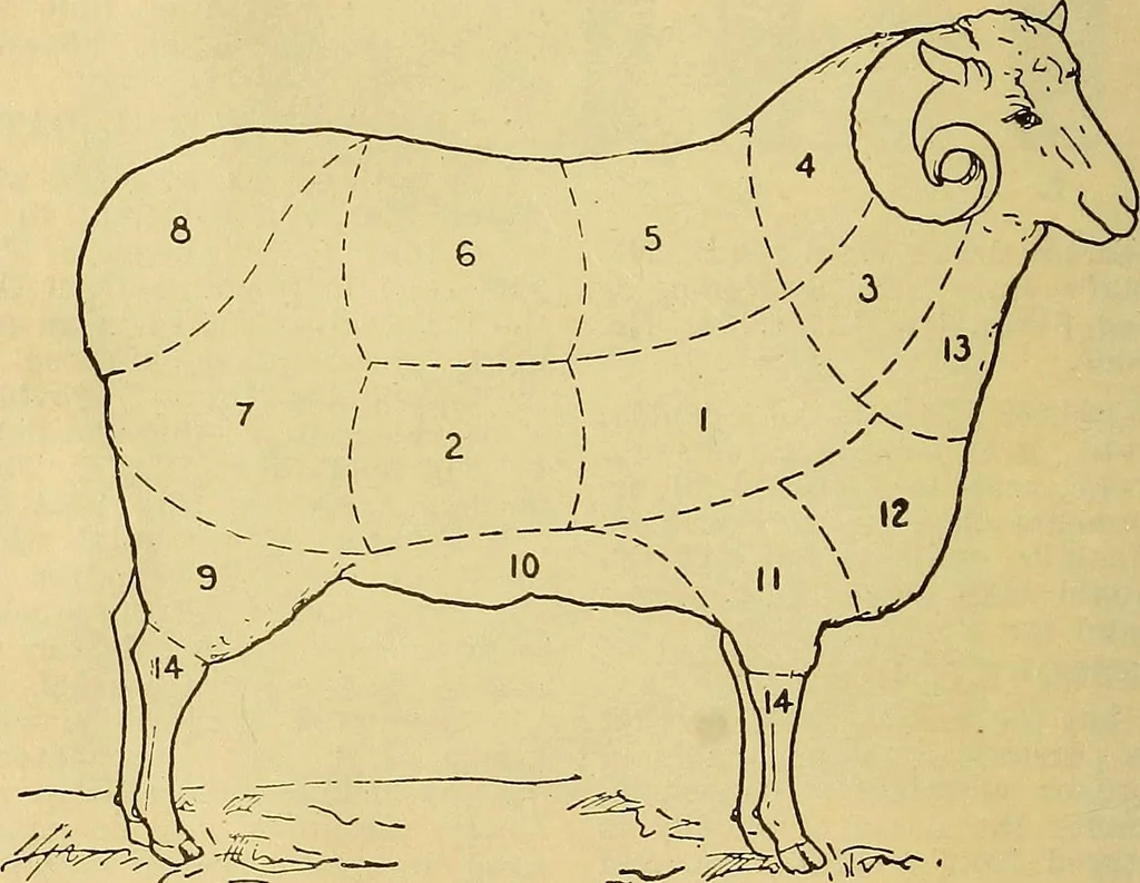 An illustration from Woolen and worsted fabrics glossary; containing instructions for the manufacture of every known grade and variety of woolen and worsted fabrics .., 1914, leaf 13