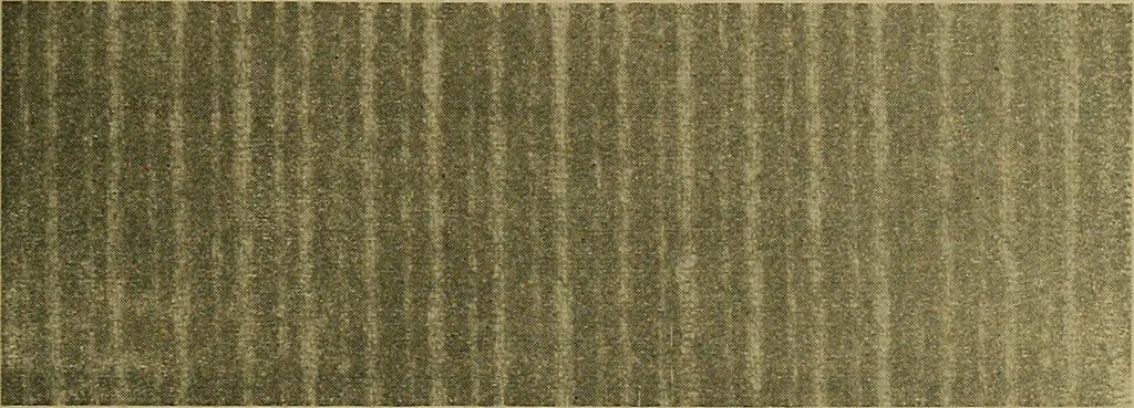 An illustration from Woolen and worsted fabrics glossary; containing instructions for the manufacture of every known grade and variety of woolen and worsted fabrics .., 1914, leaf 162