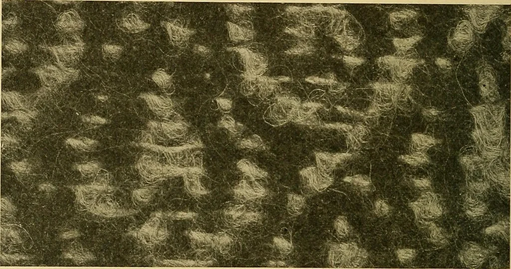An illustration from Woolen and worsted fabrics glossary; containing instructions for the manufacture of every known grade and variety of woolen and worsted fabrics .., 1914, leaf 221