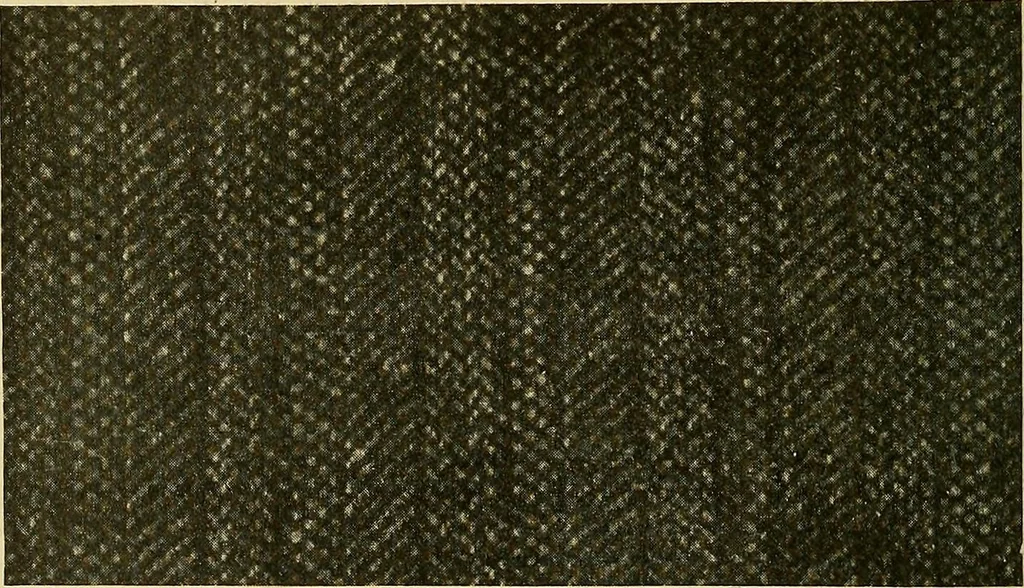 An illustration from Woolen and worsted fabrics glossary; containing instructions for the manufacture of every known grade and variety of woolen and worsted fabrics .., 1914, leaf 227