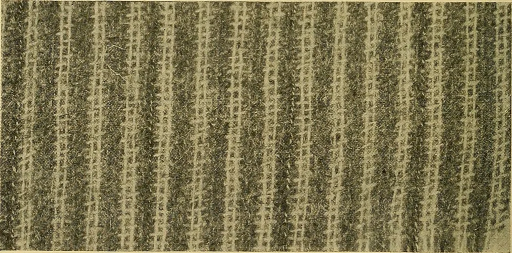 An illustration from Woolen and worsted fabrics glossary; containing instructions for the manufacture of every known grade and variety of woolen and worsted fabrics .., 1914, leaf 253
