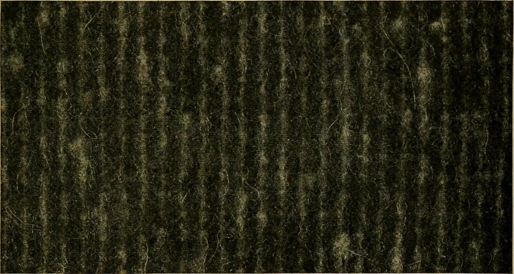 An illustration from Woolen and worsted fabrics glossary; containing instructions for the manufacture of every known grade and variety of woolen and worsted fabrics .., 1914, leaf 258