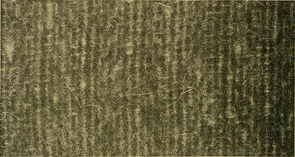 An illustration from Woolen and worsted fabrics glossary; containing instructions for the manufacture of every known grade and variety of woolen and worsted fabrics .., 1914, leaf 259