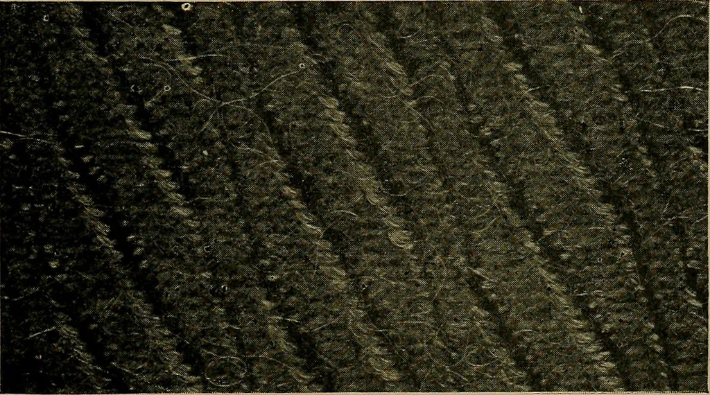 An illustration from Woolen and worsted fabrics glossary; containing instructions for the manufacture of every known grade and variety of woolen and worsted fabrics .., 1914, leaf 260