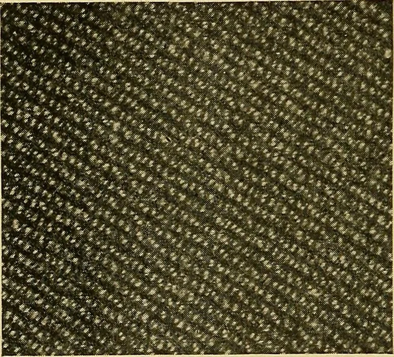 An illustration from Woolen and worsted fabrics glossary; containing instructions for the manufacture of every known grade and variety of woolen and worsted fabrics .., 1914, leaf 263