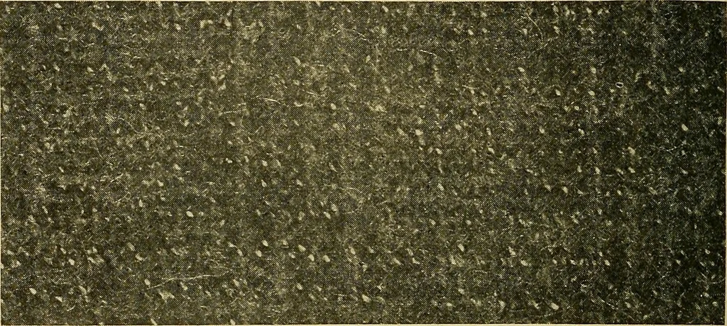 An illustration from Woolen and worsted fabrics glossary; containing instructions for the manufacture of every known grade and variety of woolen and worsted fabrics .., 1914, leaf 269