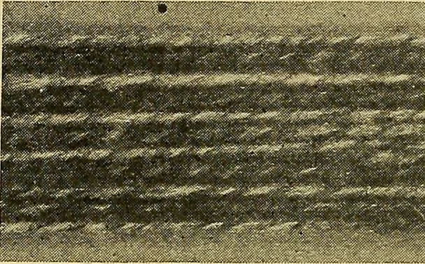 An illustration from Woolen and worsted fabrics glossary; containing instructions for the manufacture of every known grade and variety of woolen and worsted fabrics .., 1914, leaf 283