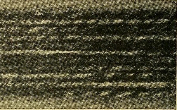 An illustration from Woolen and worsted fabrics glossary; containing instructions for the manufacture of every known grade and variety of woolen and worsted fabrics .., 1914, leaf 283