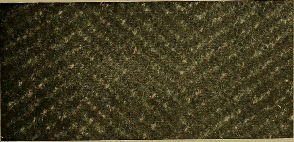 An illustration from Woolen and worsted fabrics glossary; containing instructions for the manufacture of every known grade and variety of woolen and worsted fabrics .., 1914, leaf 306