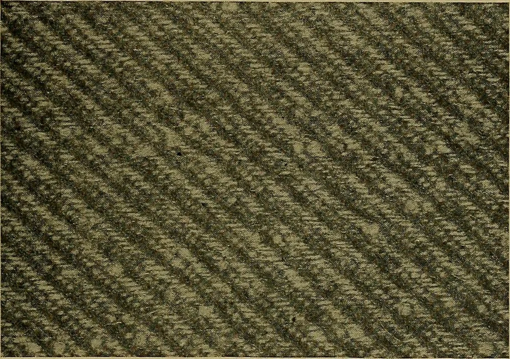 An illustration from Woolen and worsted fabrics glossary; containing instructions for the manufacture of every known grade and variety of woolen and worsted fabrics .., 1914, leaf 318