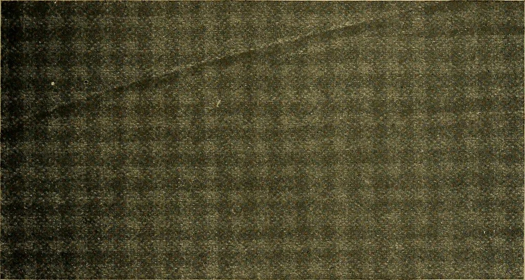 An illustration from Woolen and worsted fabrics glossary; containing instructions for the manufacture of every known grade and variety of woolen and worsted fabrics .., 1914, leaf 324