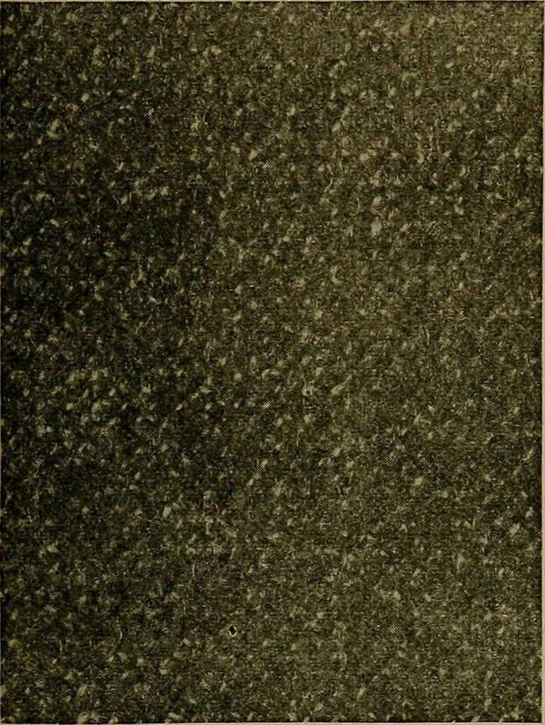 An illustration from Woolen and worsted fabrics glossary; containing instructions for the manufacture of every known grade and variety of woolen and worsted fabrics .., 1914, leaf 58