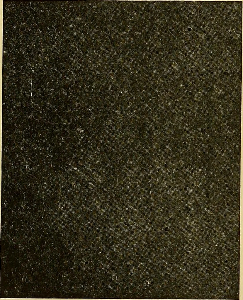 An illustration from Woolen and worsted fabrics glossary; containing instructions for the manufacture of every known grade and variety of woolen and worsted fabrics .., 1914, leaf 59
