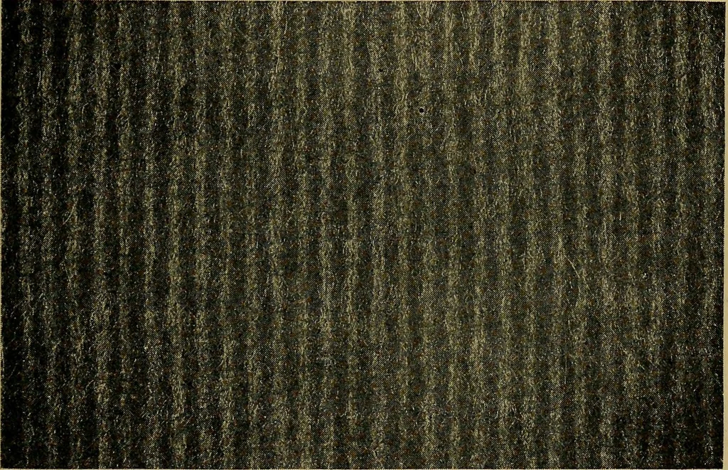 An illustration from Woolen and worsted fabrics glossary; containing instructions for the manufacture of every known grade and variety of woolen and worsted fabrics .., 1914, leaf 60