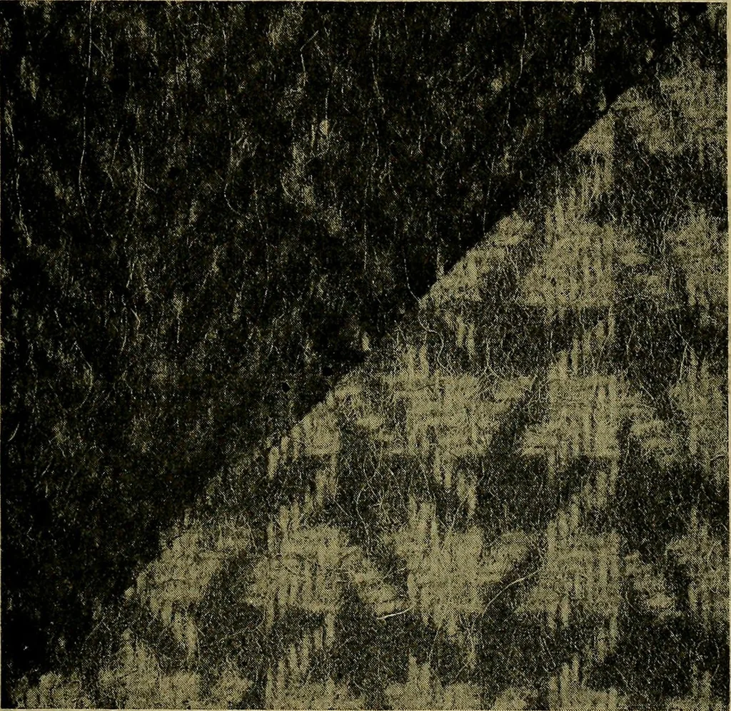 An illustration from Woolen and worsted fabrics glossary; containing instructions for the manufacture of every known grade and variety of woolen and worsted fabrics .., 1914, leaf 74