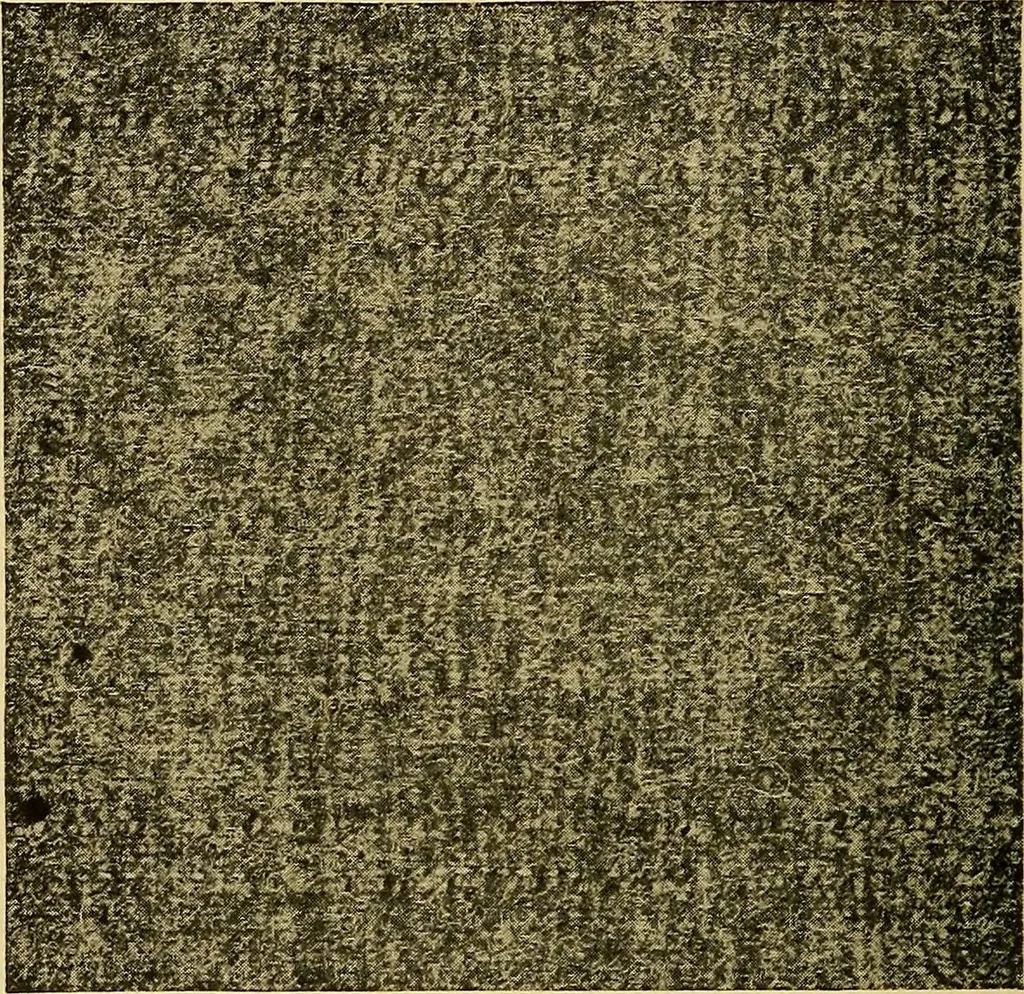 An illustration from Woolen and worsted fabrics glossary; containing instructions for the manufacture of every known grade and variety of woolen and worsted fabrics .., 1914, leaf 83