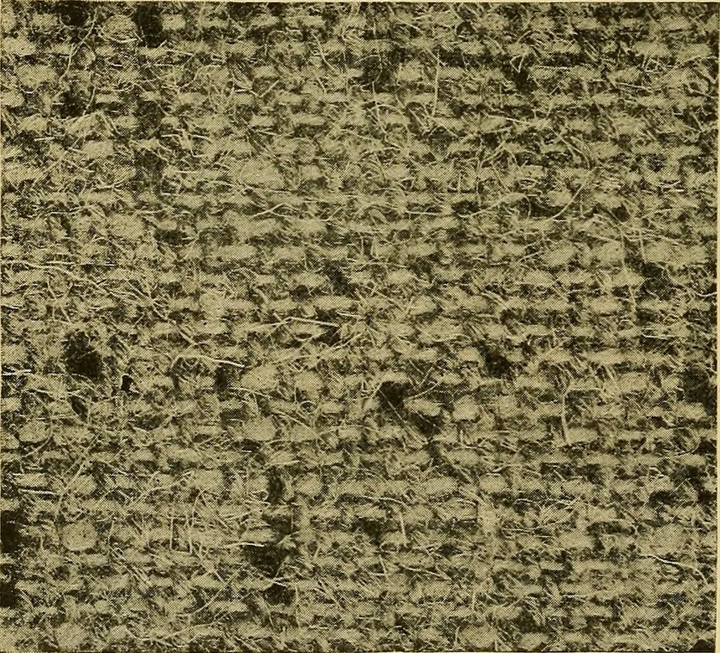 An illustration from Woolen and worsted fabrics glossary; containing instructions for the manufacture of every known grade and variety of woolen and worsted fabrics .., 1914, leaf 85