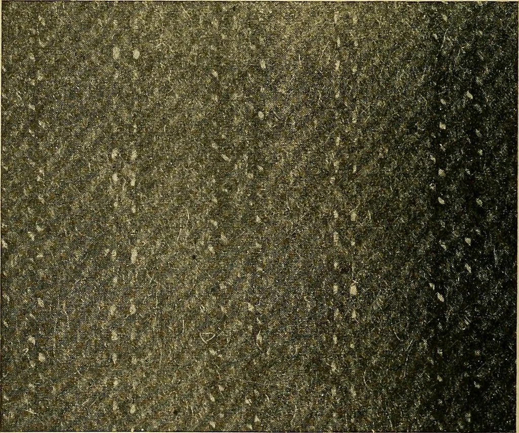 An illustration from Woolen and worsted fabrics glossary; containing instructions for the manufacture of every known grade and variety of woolen and worsted fabrics .., 1914, leaf 87