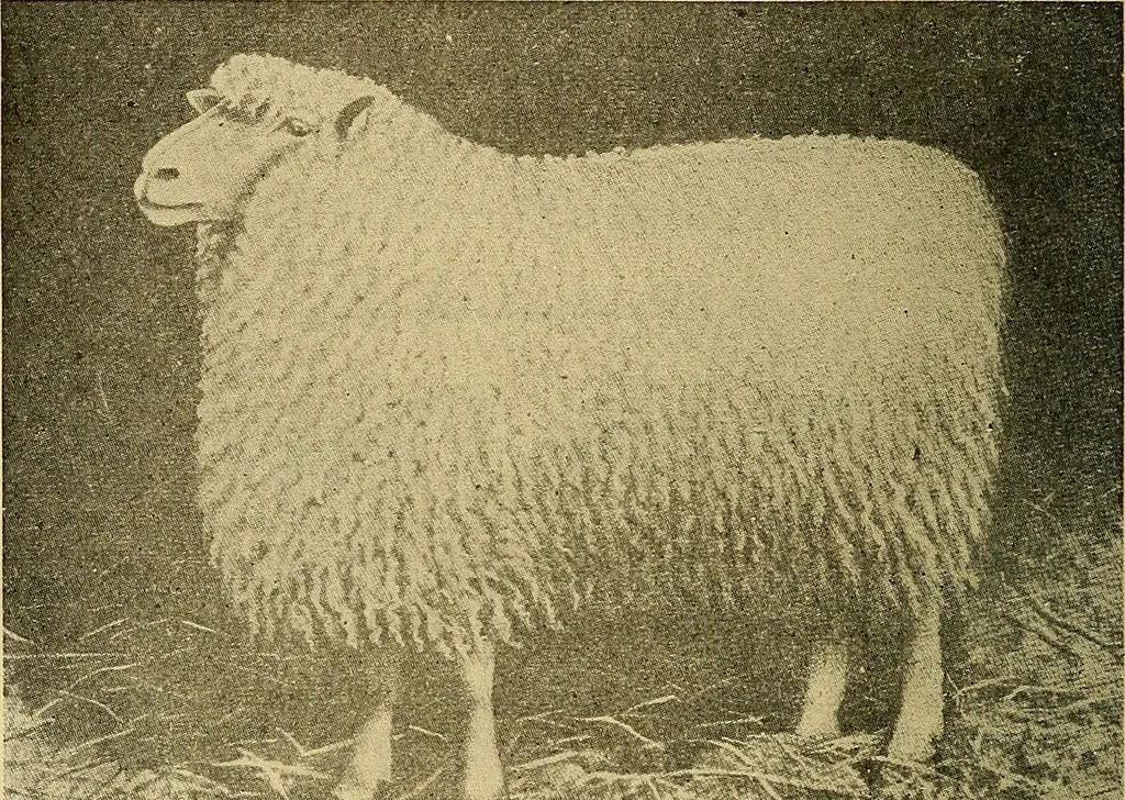 An illustration from Woolen and worsted fabrics glossary; containing instructions for the manufacture of every known grade and variety of woolen and worsted fabrics .., 1914, leaf 9