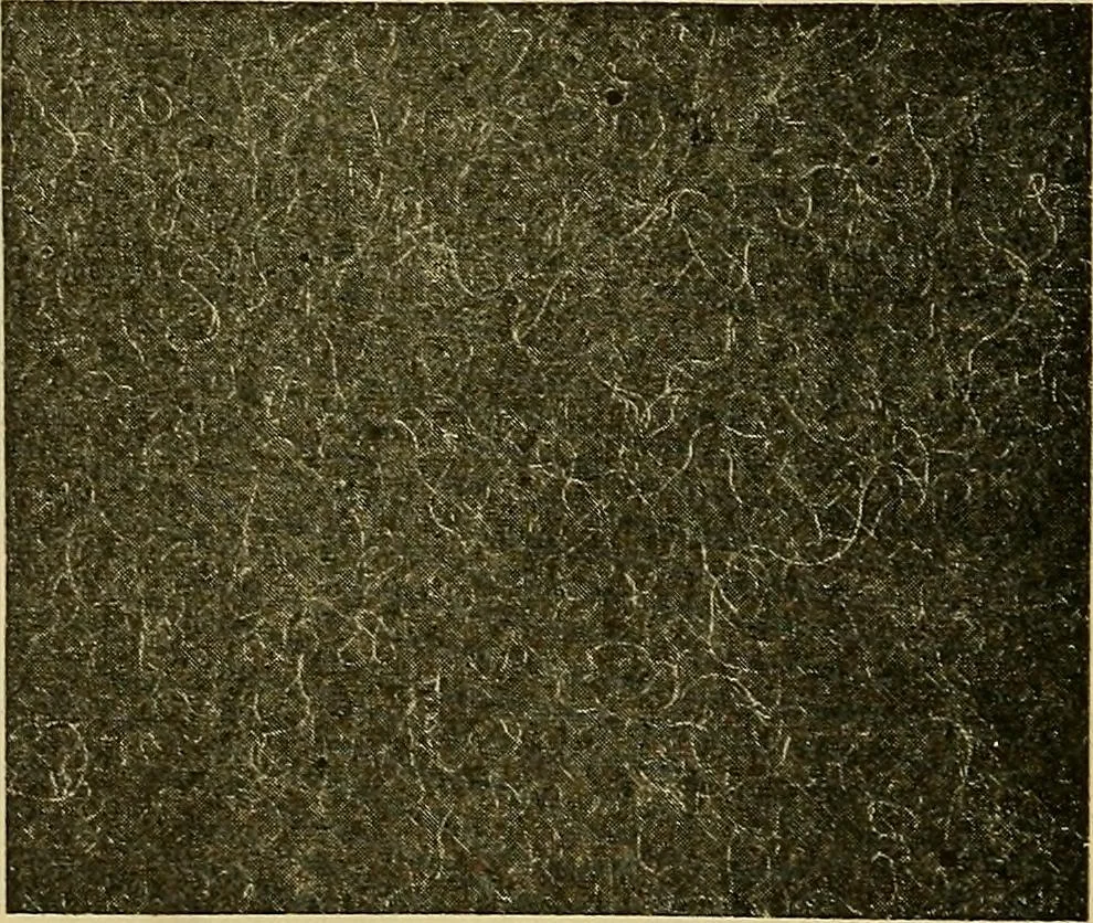 An illustration from Woolen and worsted fabrics glossary; containing instructions for the manufacture of every known grade and variety of woolen and worsted fabrics .., 1914, leaf 91