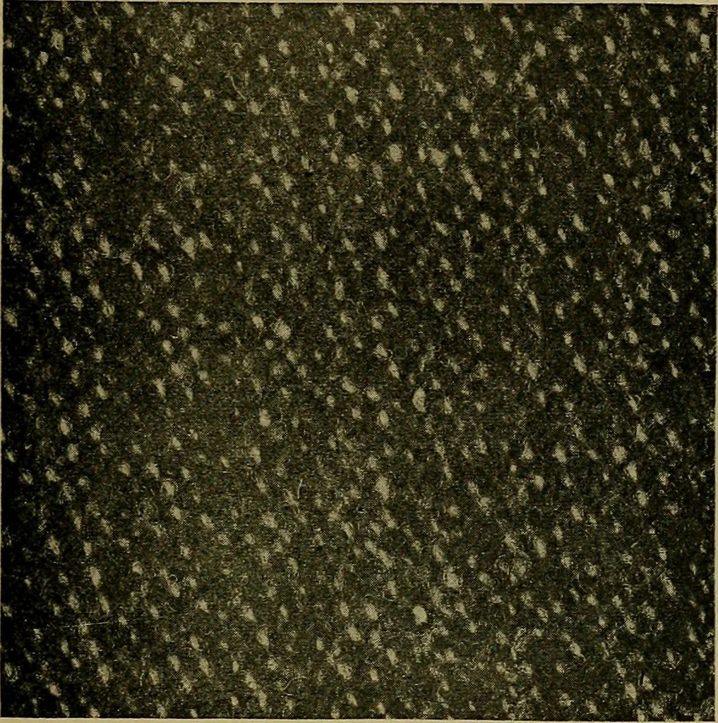 An illustration from Woolen and worsted fabrics glossary; containing instructions for the manufacture of every known grade and variety of woolen and worsted fabrics .., 1914, leaf 96