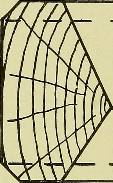 An illustration from Woolen and worsted finishing; a practical manual of instruction in the methods and machinery used in finishing woolen and worsted goods in general, and the processes involved in the special treatment of all types of standard fabrics, 1909, leaf 127
