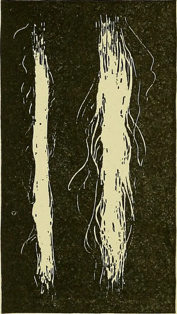 An illustration from Woolen and worsted finishing; a practical manual of instruction in the methods and machinery used in finishing woolen and worsted goods in general, and the processes involved in the special treatment of all types of standard fabrics, 1909, leaf 315