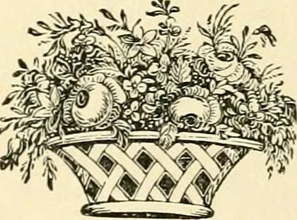 An illustration from Workers in the vineyard. A review of the progress of spiritualism, biographical sketches, lectures, essays and poems. .., 1896, leaf 240