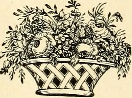 An illustration from Workers in the vineyard. A review of the progress of spiritualism, biographical sketches, lectures, essays and poems. .., 1896, leaf 390