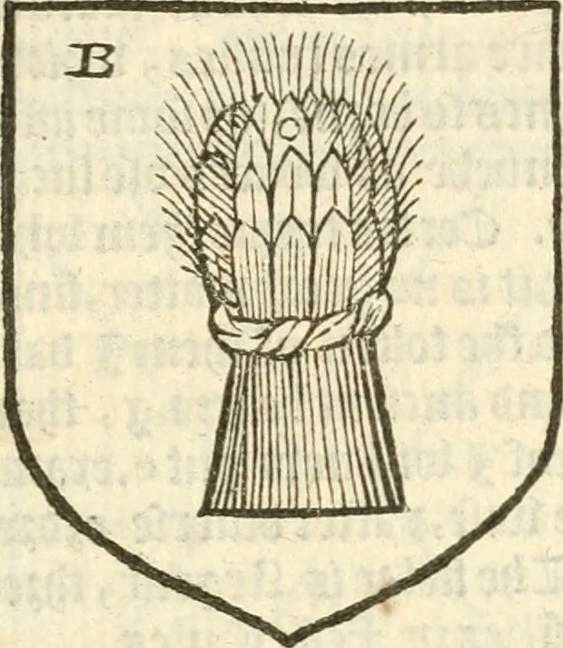 An illustration from Workes of armorie : deuyded into three bookes, entituled, the Concordes of armorie, the Armorie of honor, and of Coates and creastes, 1572, leaf 180