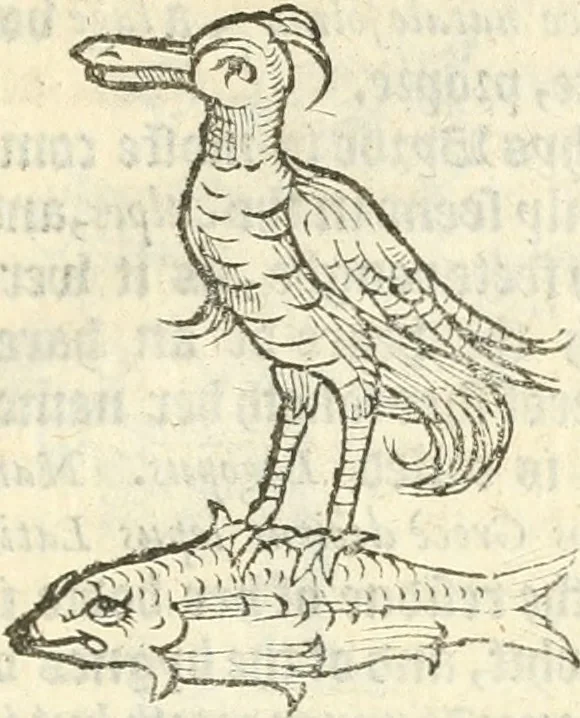 An illustration from Workes of armorie : deuyded into three bookes, entituled, the Concordes of armorie, the Armorie of honor, and of Coates and creastes, 1572, leaf 334