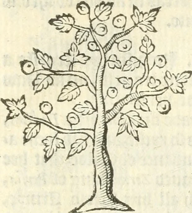 An illustration from Workes of armorie : deuyded into three bookes, entituled, the Concordes of armorie, the Armorie of honor, and of Coates and creastes, 1572, leaf 336