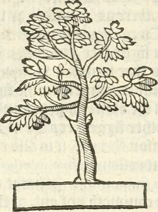 An illustration from Workes of armorie : deuyded into three bookes, entituled, the Concordes of armorie, the Armorie of honor, and of Coates and creastes, 1572, leaf 337