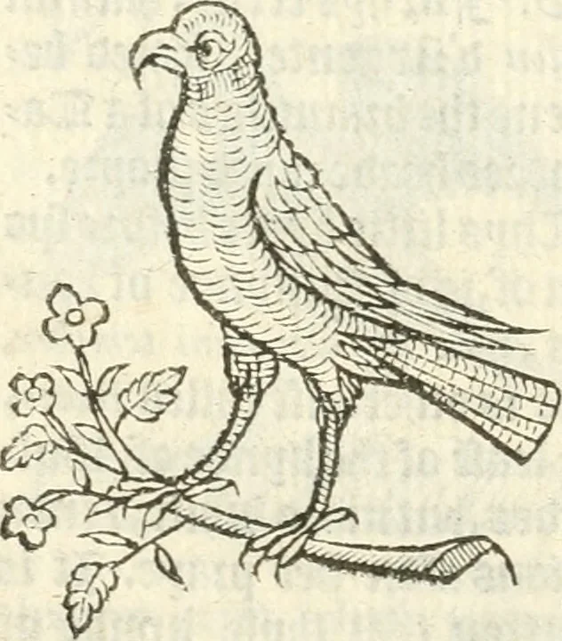 An illustration from Workes of armorie : deuyded into three bookes, entituled, the Concordes of armorie, the Armorie of honor, and of Coates and creastes, 1572, leaf 339