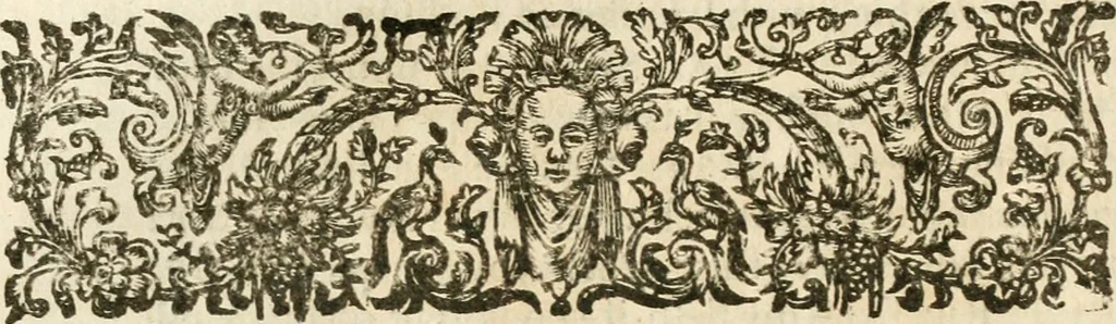 An illustration from The Workes of Benjamin Jonson, 1640, leaf 231