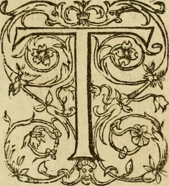 An illustration from The workes of John Boys, 1629, leaf 348