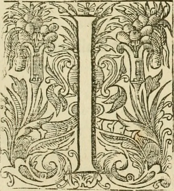 An illustration from The workes of John Boys, 1629, leaf 574