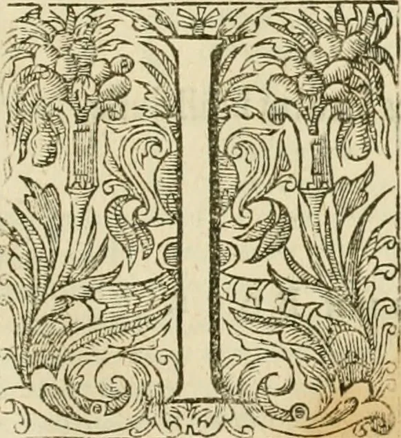 An illustration from The workes of John Boys, 1629, leaf 806